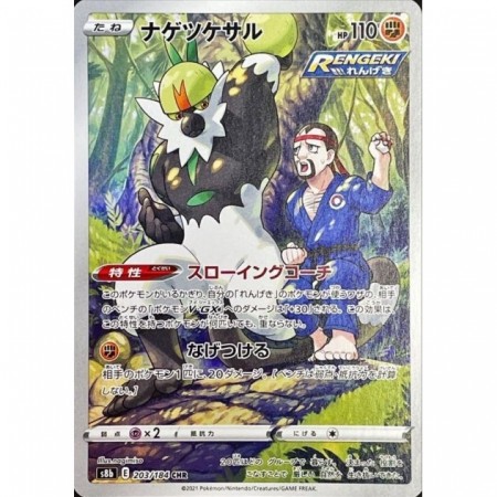 Passimian