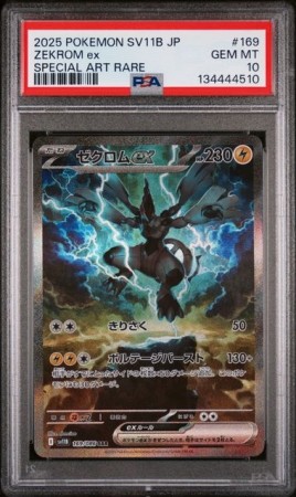 Zekrom SAR PSA 10 