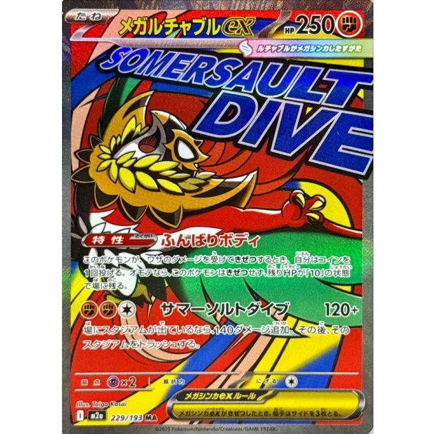 Mega Hawlucha EX 229/193
